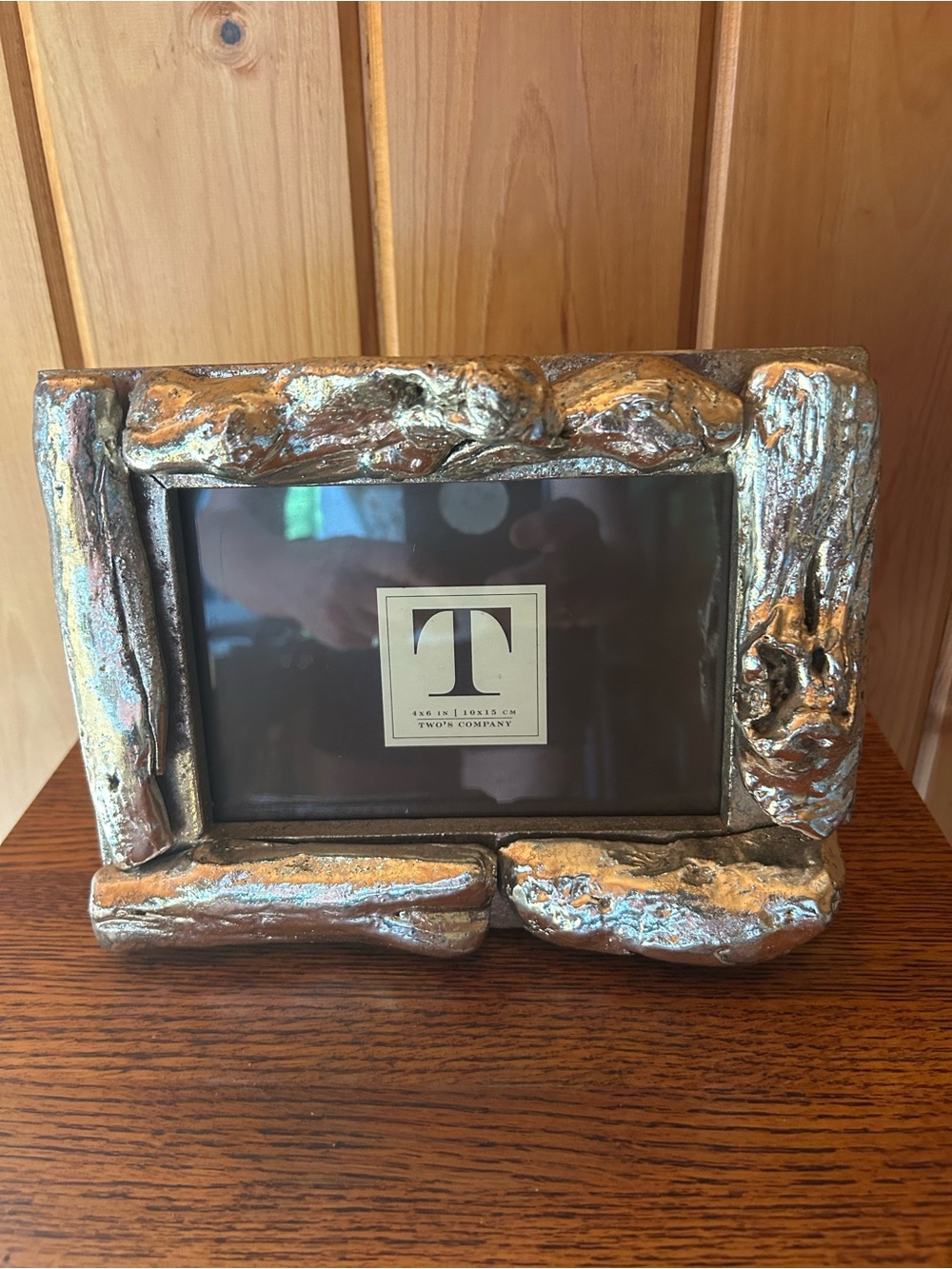 Two's Company Metallic Silver Driftwood-Style Picture Frame